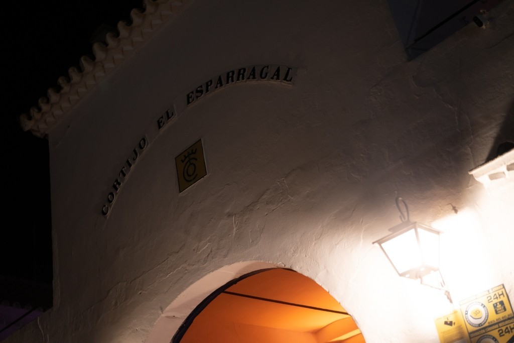 1780991446_elf-sevilla-364.jpg